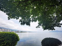 -大理洱海