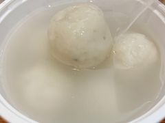 -海丝金凤(金鱼店)