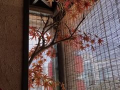 -农耕记·湖南土菜(科技园店)