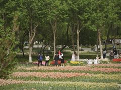 -石家庄市植物园