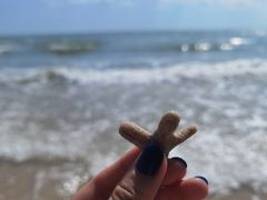 -贝壳沙滩