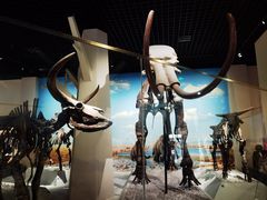 -国家自然博物馆