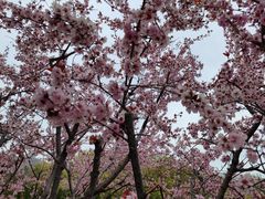 -棒棰岛宾馆景区