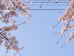 -永乐路-路侧停车场
