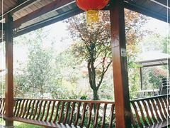 -胖大姐黄辣丁鱼庄(新津店)