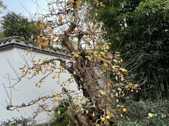 -成都杜甫草堂博物馆