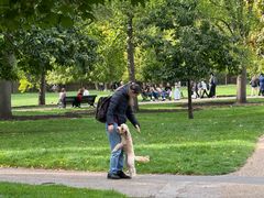 -海德公园