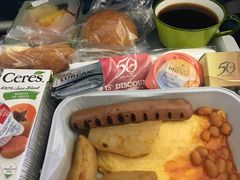 -西沃古尔·拉姆古兰爵士国际机场