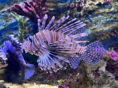 -观澜湖生态运动公社