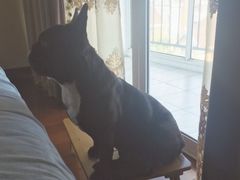 -骐奇宠物诊疗中心(南亭公路店)