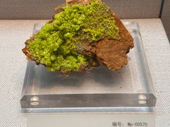 -湖南省地质博物馆