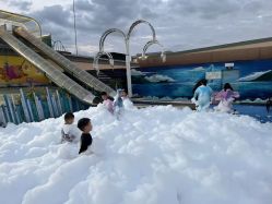 -小蜜蜂农场(凯德七宝购物广场店)