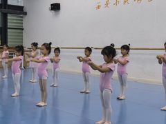 -西安小天鹅艺术团(曲江Alice店)