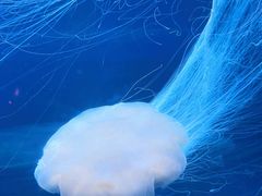 -欢乐海岸海洋奇梦馆