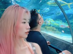 -大连圣亚海洋世界