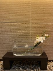 -Oasis Beauty水磨坊科技美肤中心