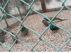 -南京金牛湖风景区