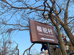 -紫金山山顶公园