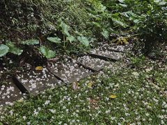 -火炉山森林公园