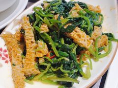 菠菜拌面筋-贯贯吉·清真餐厅(浙江中路店)