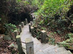 -水濂山森林公园