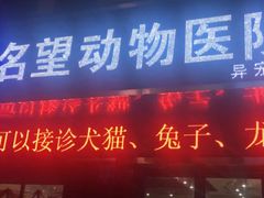 -瑞派名望24h动物医院异宠专科·猫专科·骨科·重症监护分院