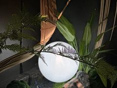 -蓉府金足印象(成都记忆67分店)