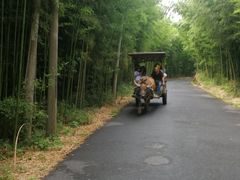 -杭州双溪漂流景区