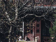 -拙政园