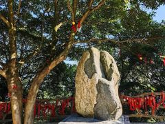 -广州市帽峰山景区