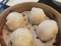 添运来虾饺皇-添运来(茶园奥园广场店)