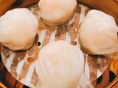招牌虾饺皇-添运来(茶园奥园广场店)