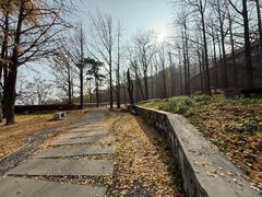 -阳台山自然风景区