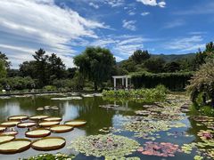 -国家植物园南园