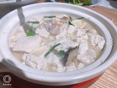 白洋豆腐-台记小海鲜(七宝店)