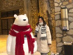 -长白山万达喜来登度假酒店