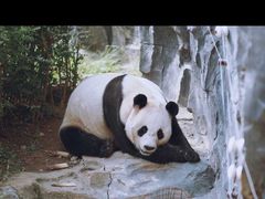 -五龙山野生动物王国