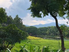 -四季酒店下午茶