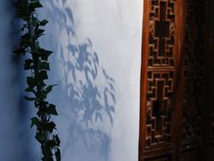 -十八棵（老龙井）御茶园(老龙井店)