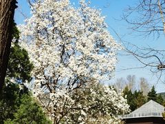 -国家植物园南园