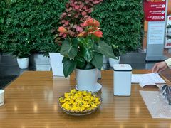 -招商银行(上海分行营业部)