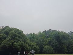 -灵谷景区