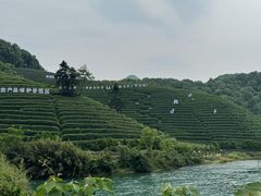 -龙坞茶村