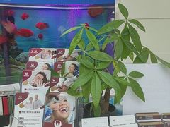 -雅悦齿科(顾村公园店)