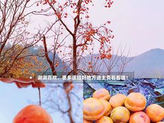 -周口店坡峰岭风景区