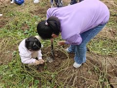 -前小桔亲子创意农场·草莓采摘·露营烧烤