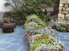 -苍山感通索道