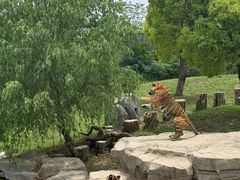 -秦皇岛野生动物园