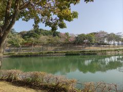 -深圳湾公园(南山区)