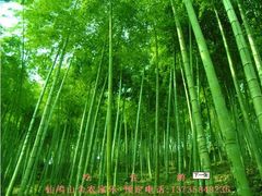 -仙山谷激浪漂流